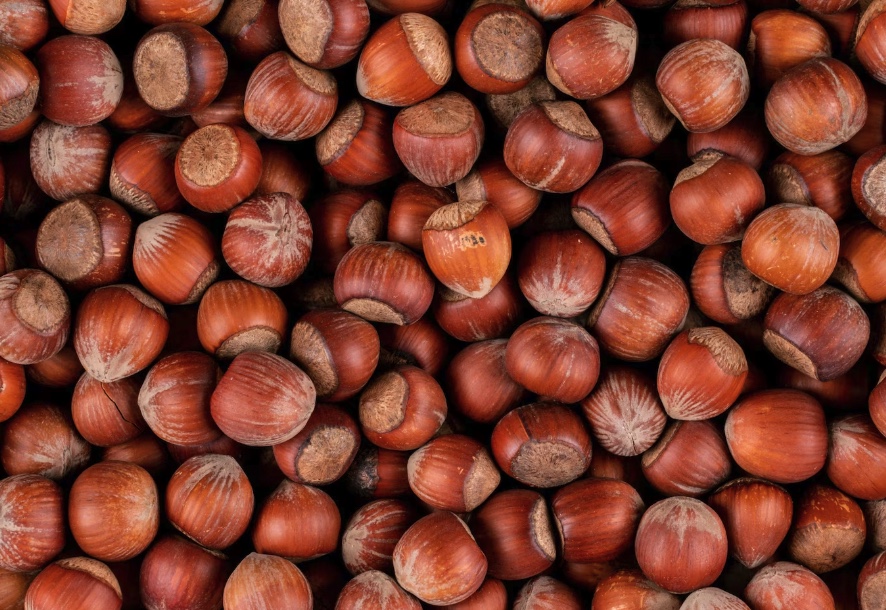 chestnuts
