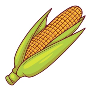 corn