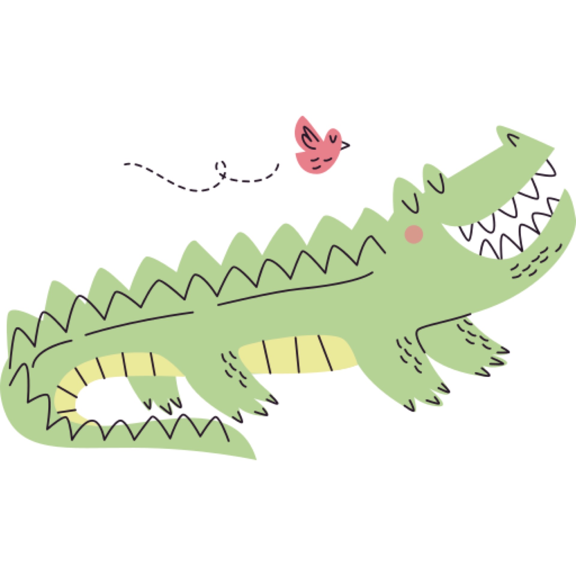 Crocodile
